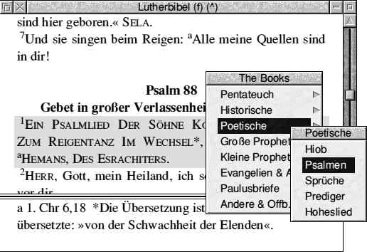 LutherBibel screenshot